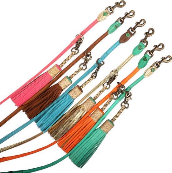 DWAM - Dog with a mission - Dog Leashes