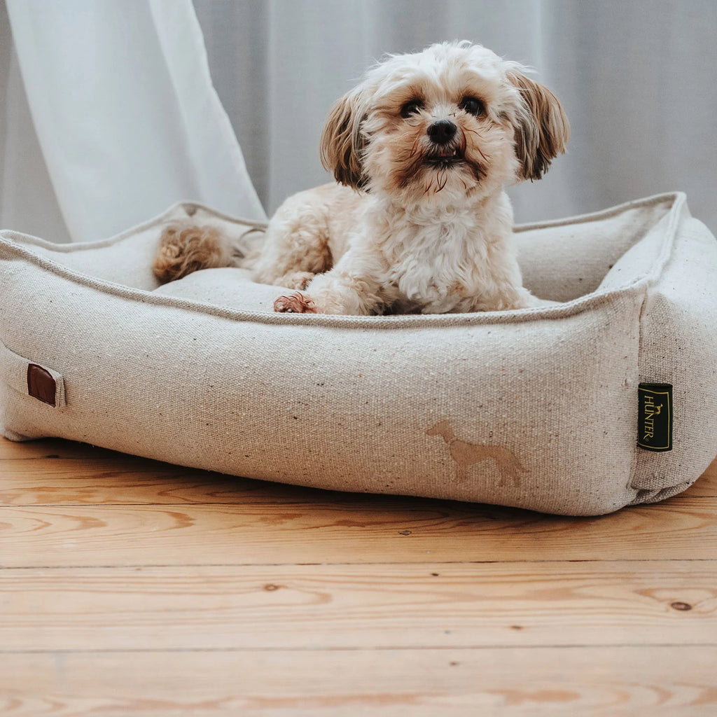 HUNTER -  Sofa Belluno