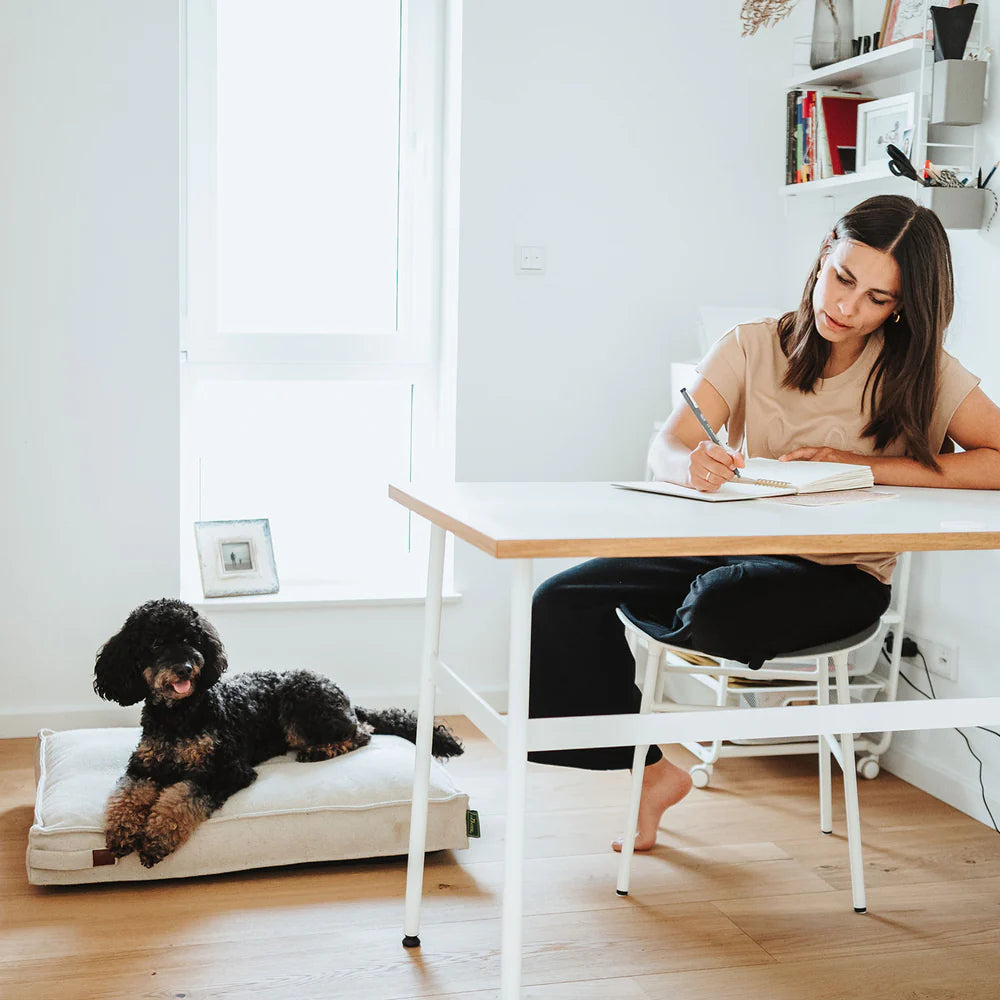 HUNTER - Hondenkussen Belluno