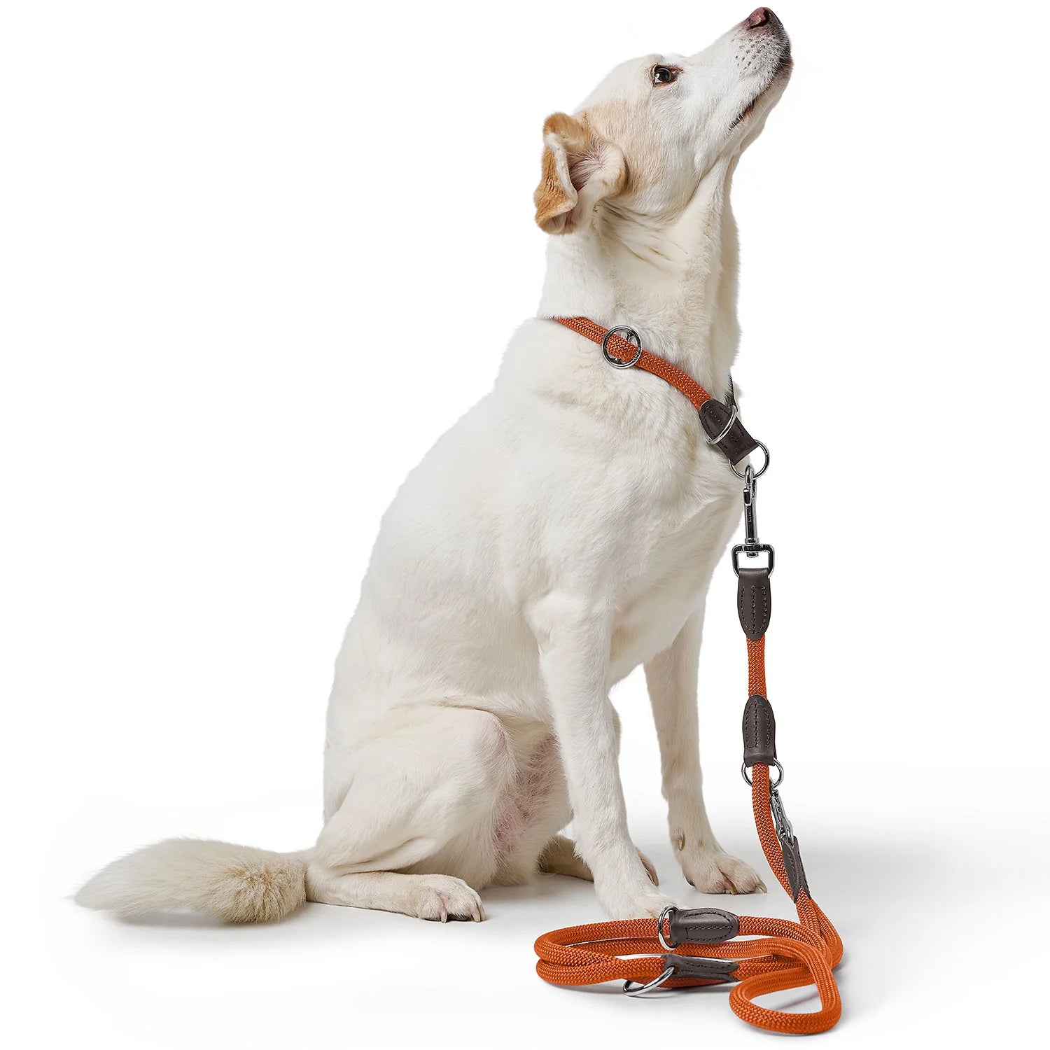 HUNTER - Freestyle leash 10/200