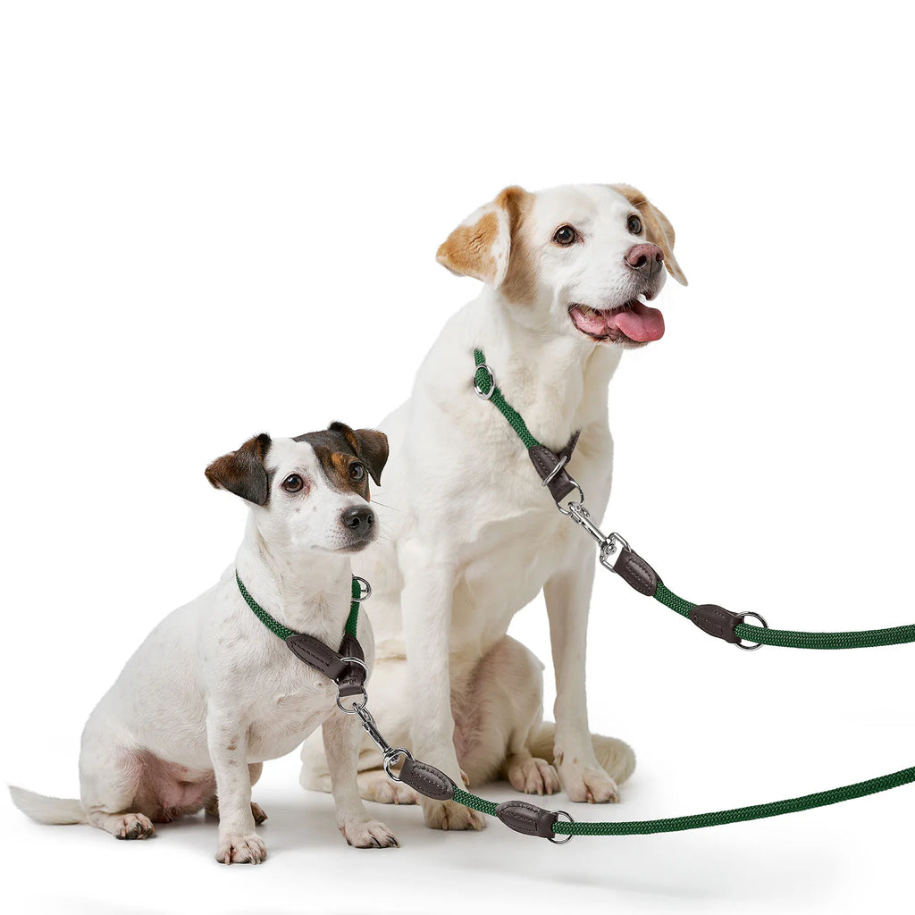 HUNTER - Freestyle leash 10/200