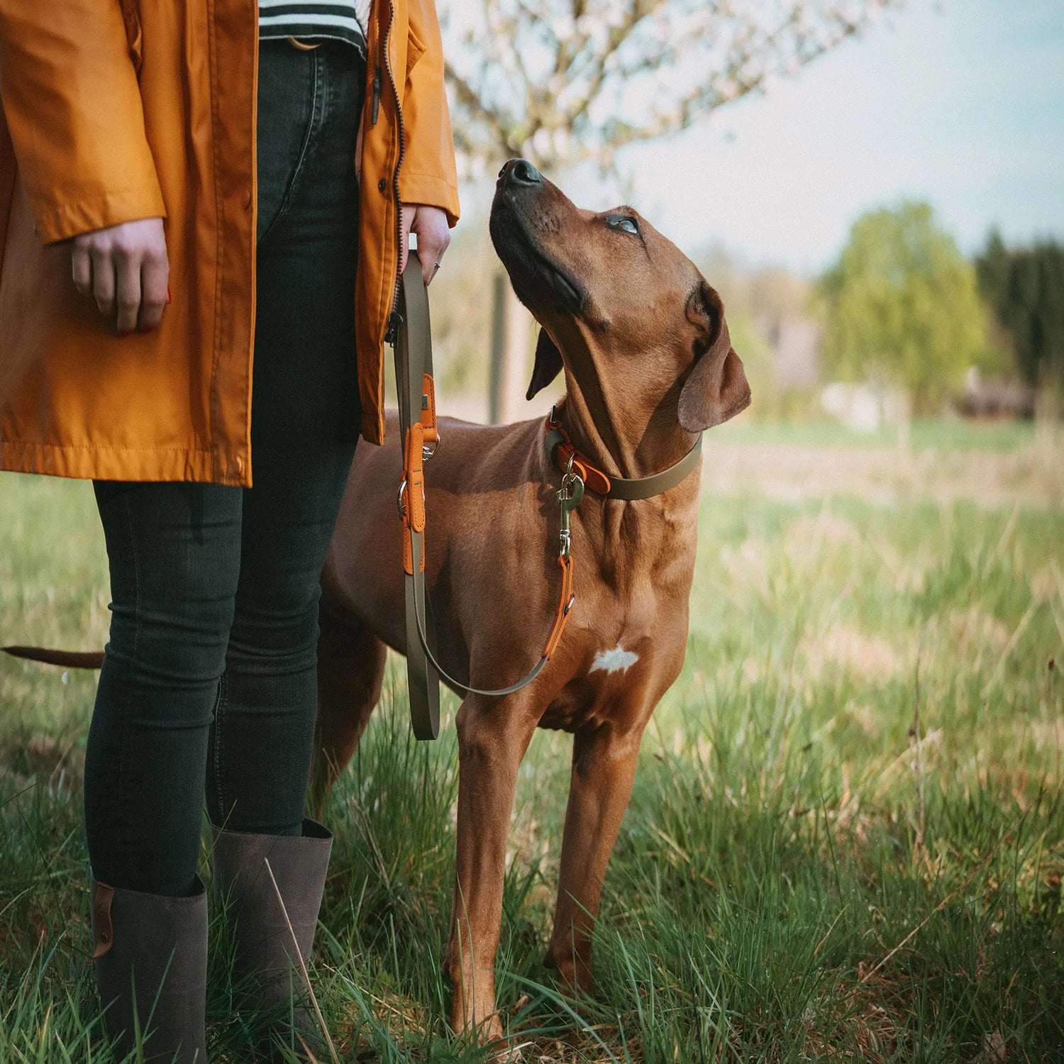 HUNTER - WOLMAR - Biothane Leibanden - 19/200
