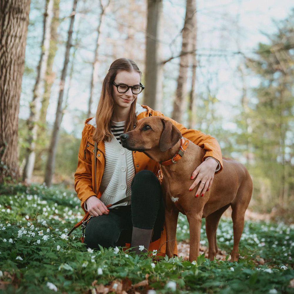 HUNTER - WOLMAR - Biothane Halsbanden