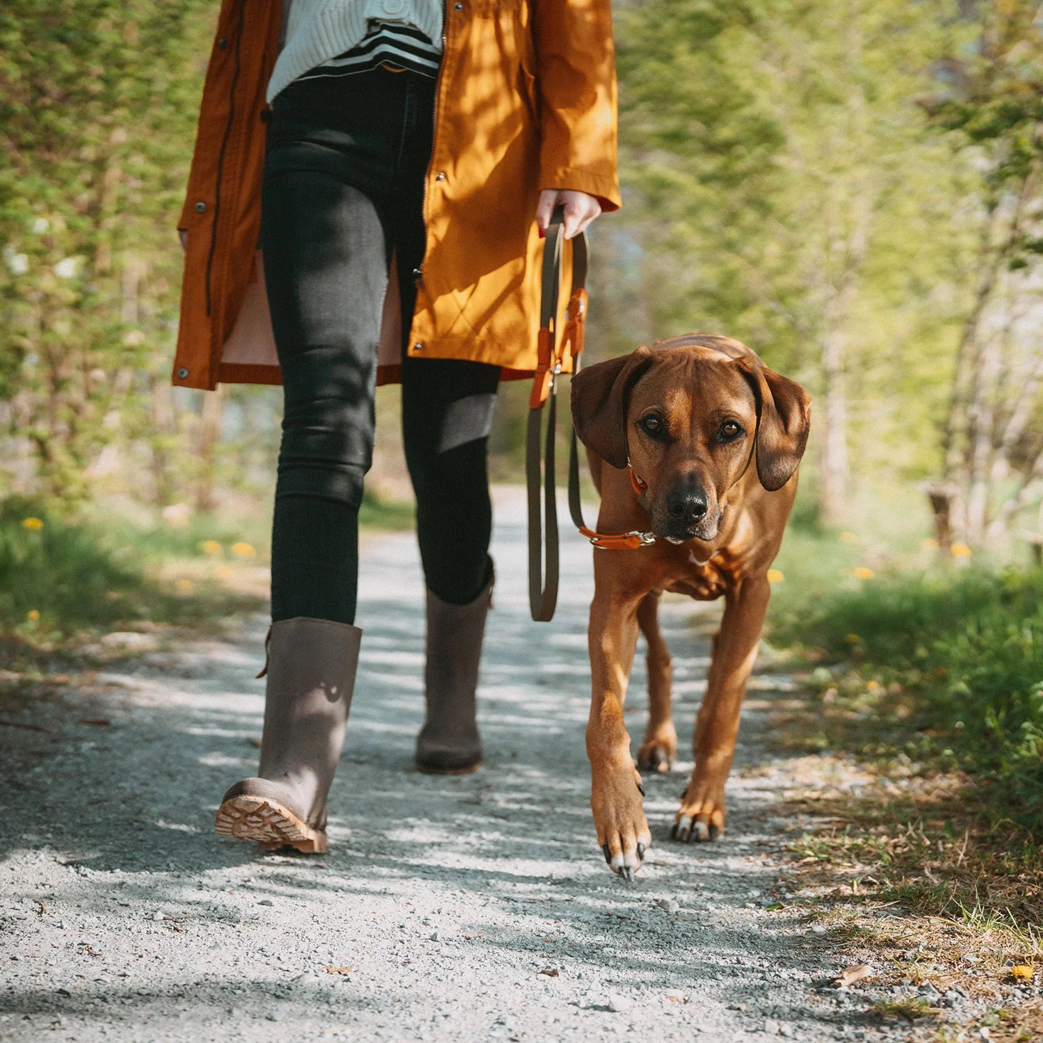 HUNTER - WOLMAR - Biothane Leibanden - 19/200