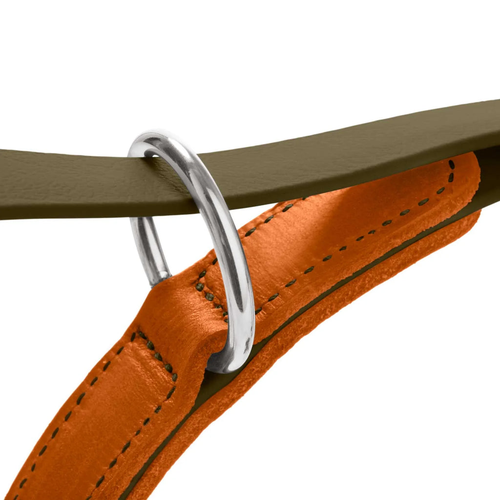 HUNTER - WOLMAR - Biothane Leibanden - 19/200