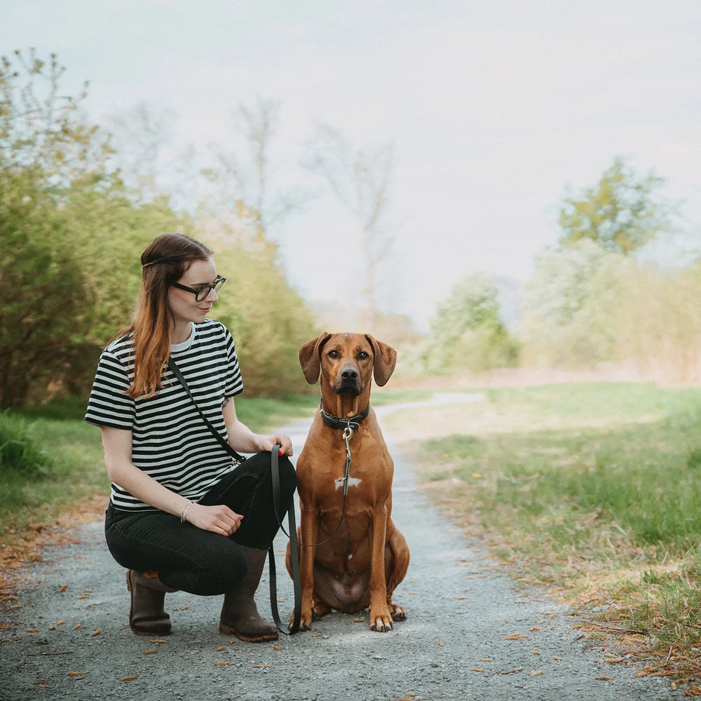 HUNTER - WOLMAR - Biothane Halsbanden AluStrong