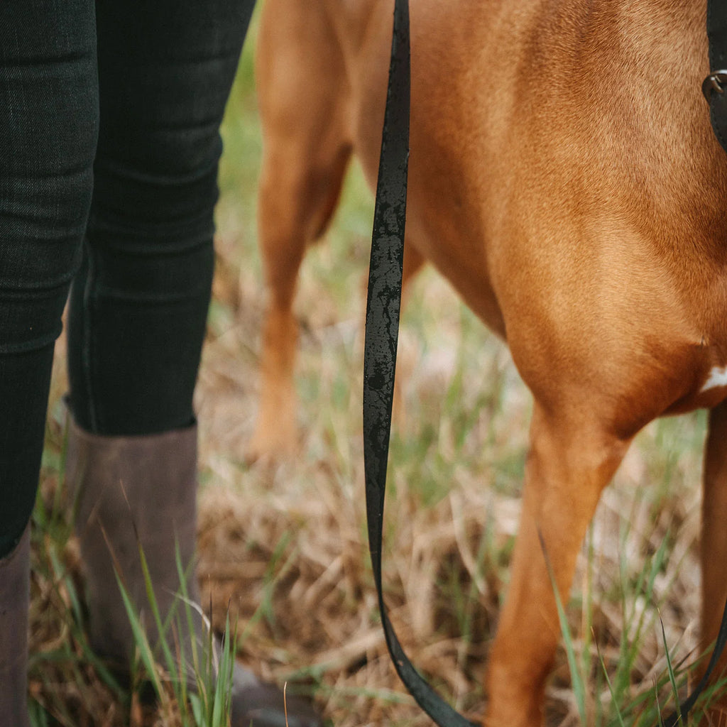 HUNTER - WOLMAR - Biothane Leibanden - 19/200