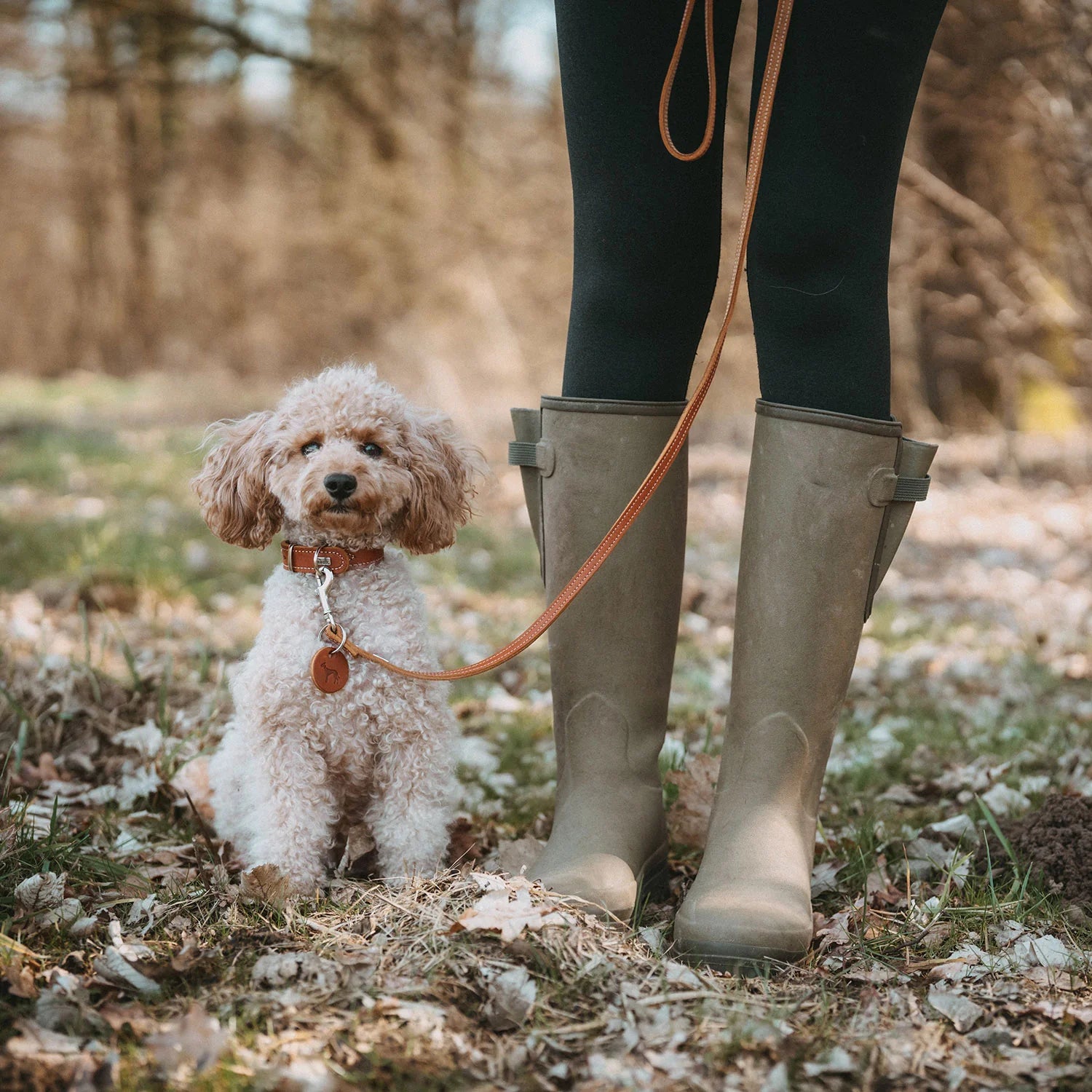 HUNTER - AALBORG SPECIAL hondenhalsband - rundsleder