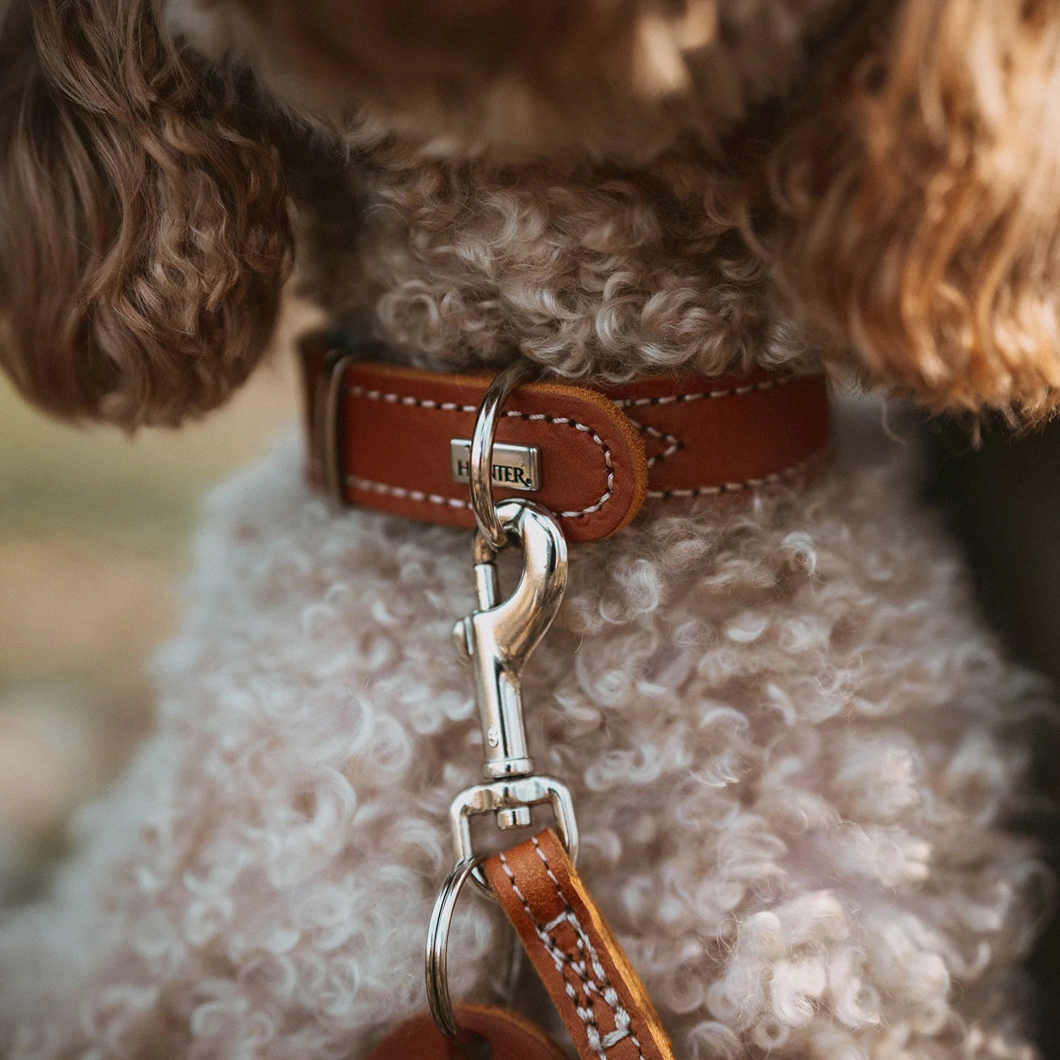 HUNTER - AALBORG SPECIAL hondenhalsband - rundsleder