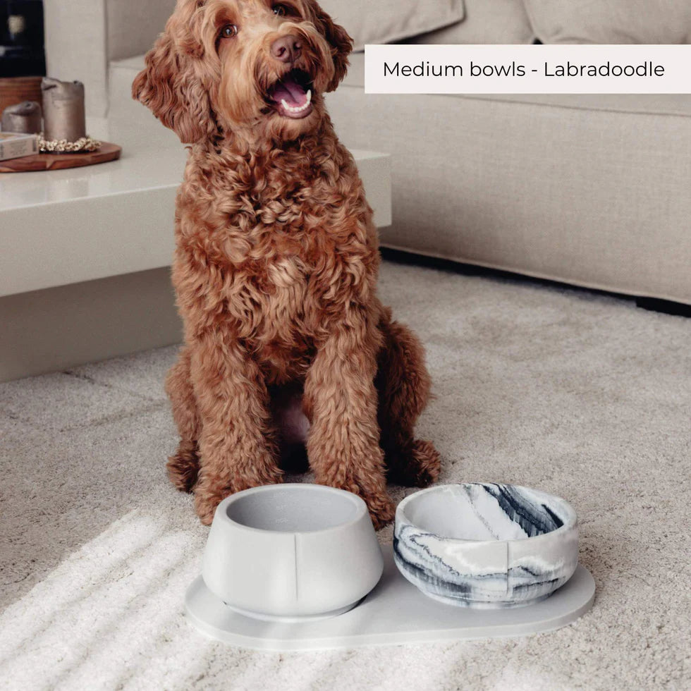 PINO - Classic Feeder Bowls