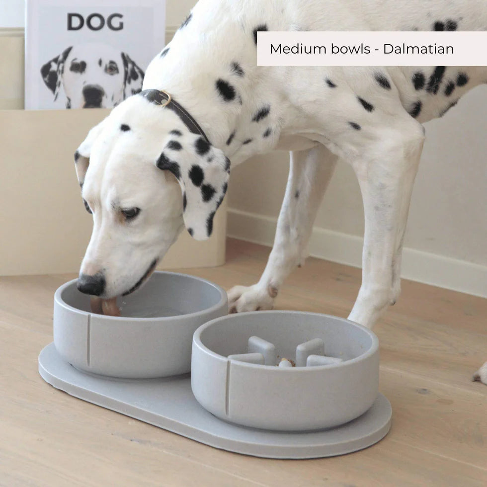 PINO - Slow Feeder Bowls