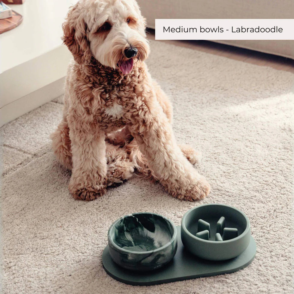 PINO - Slow Feeder Bowls