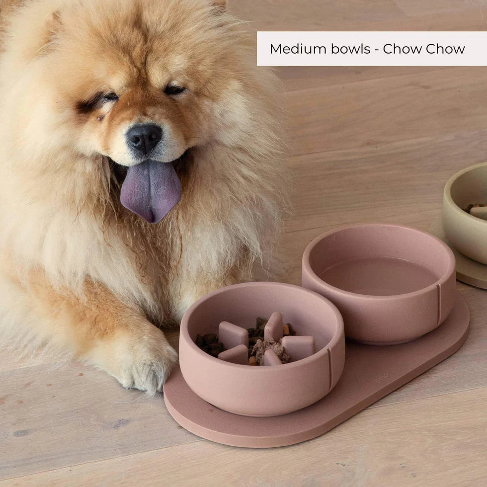PINO - Slow Feeder Bowls
