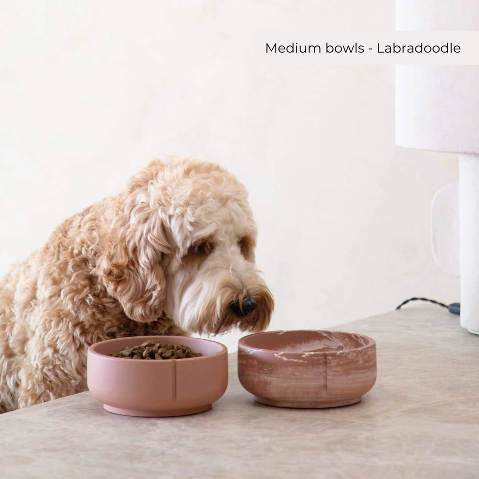 PINO - Classic Feeder Bowls