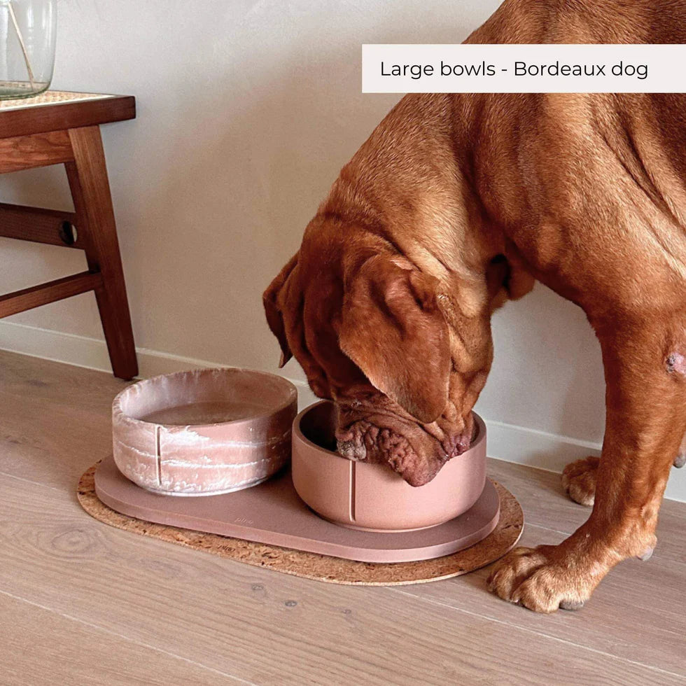 PINO - Classic Feeder Bowls