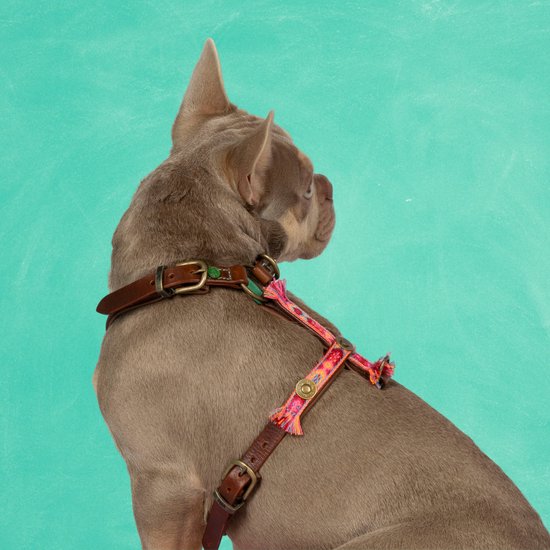 DWAM - Dog with a mission - Boho Tuigje