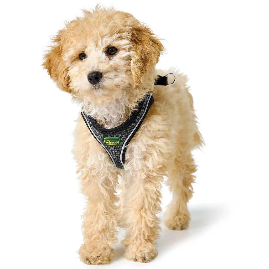 HUNTER - Hilo Comfort Harnas