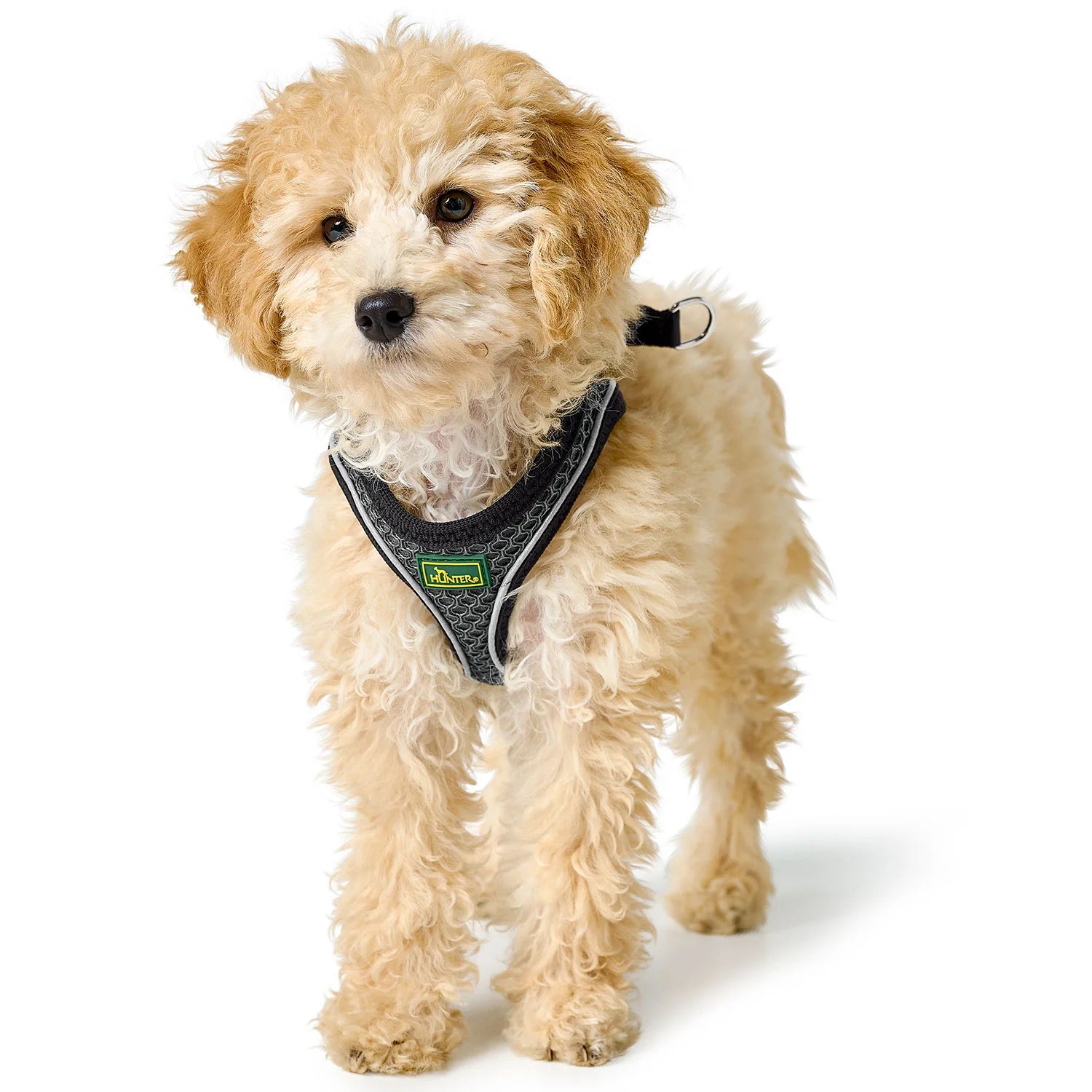 HUNTER - Hilo Comfort Harnas