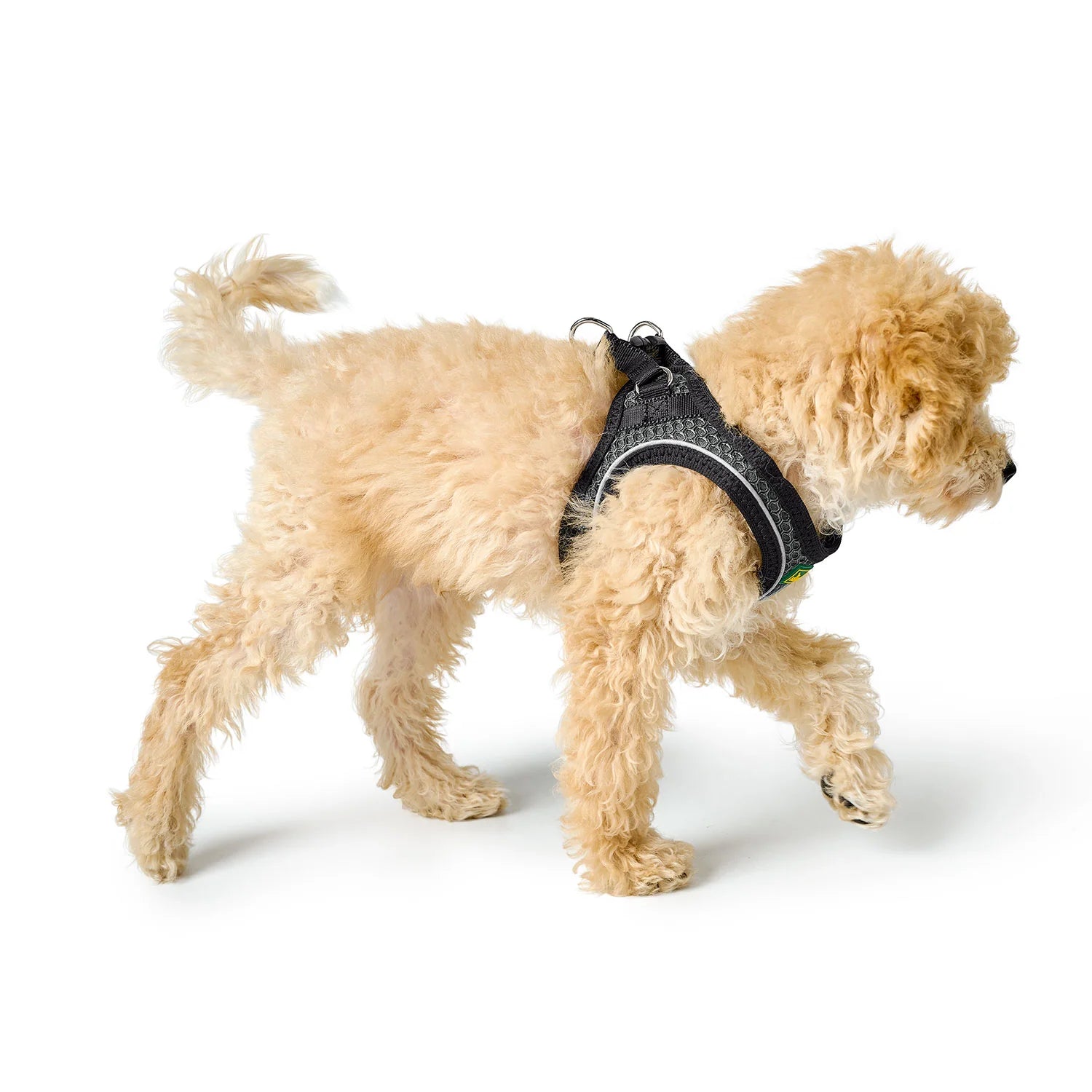 HUNTER - Hilo Comfort Harnas