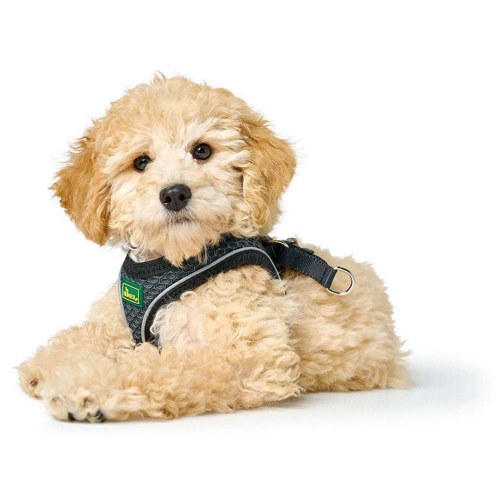 HUNTER - Hilo Comfort Harnas