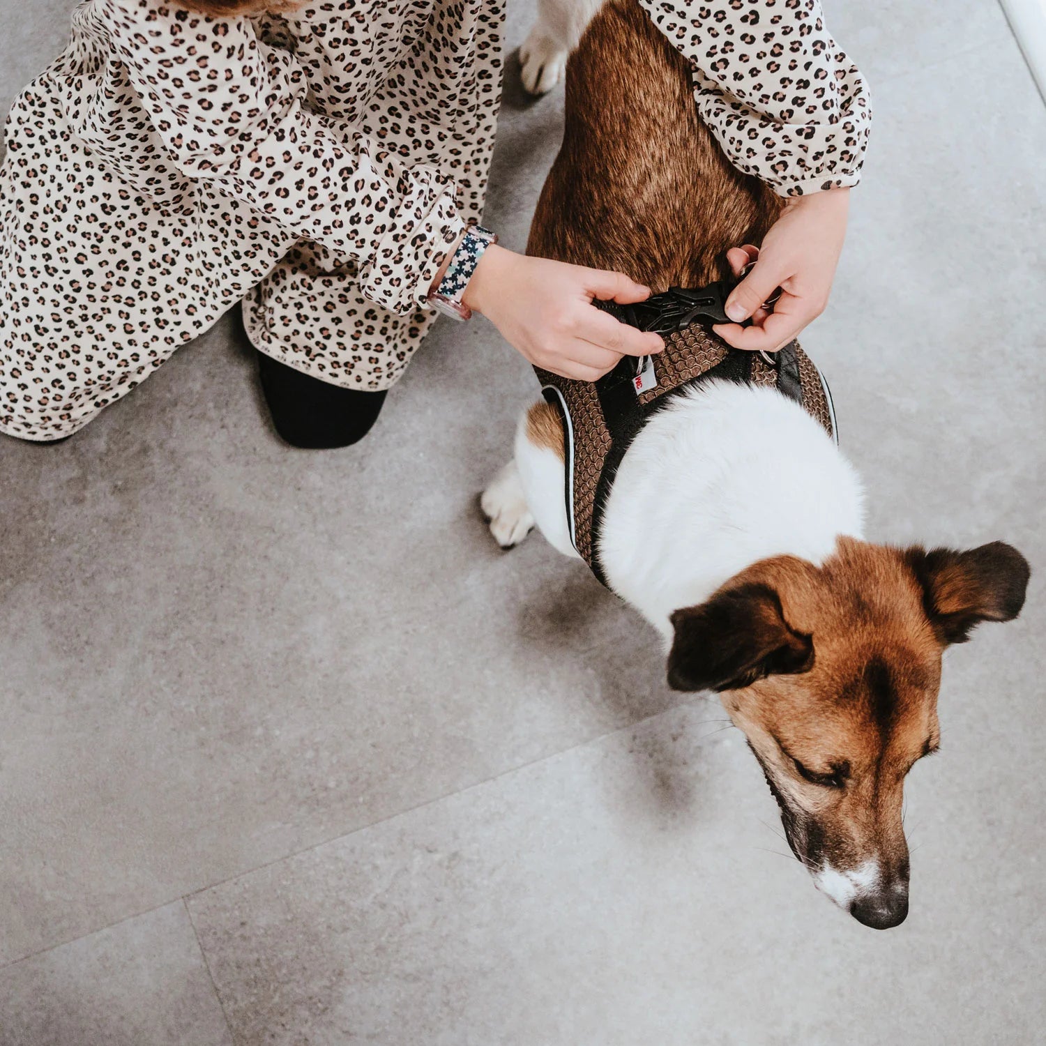 HUNTER - Hilo Comfort Harnas