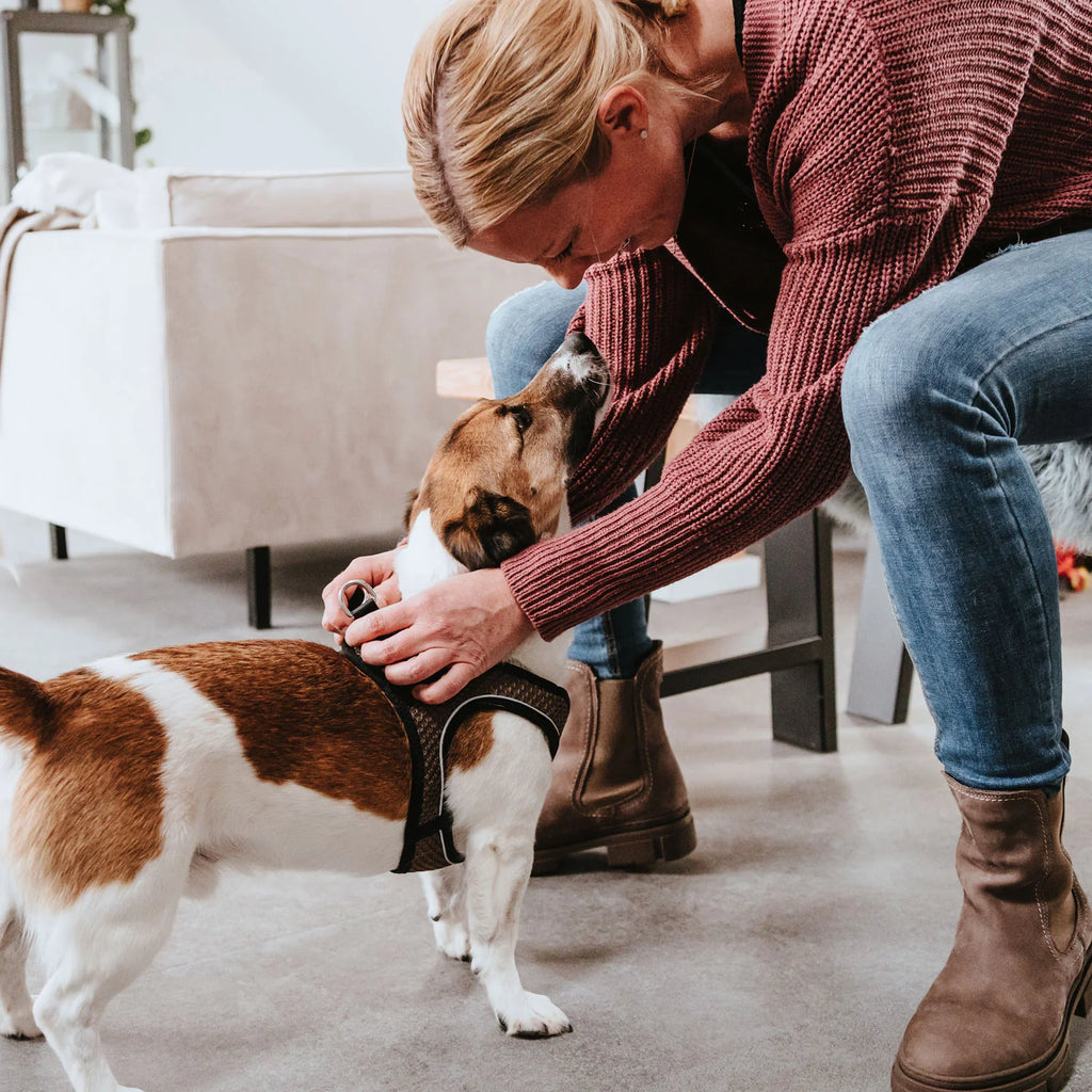 HUNTER - Hilo Comfort Harnas