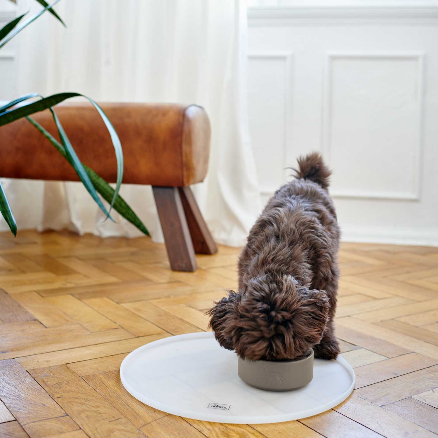 HUNTER - Food Bowl - Osby