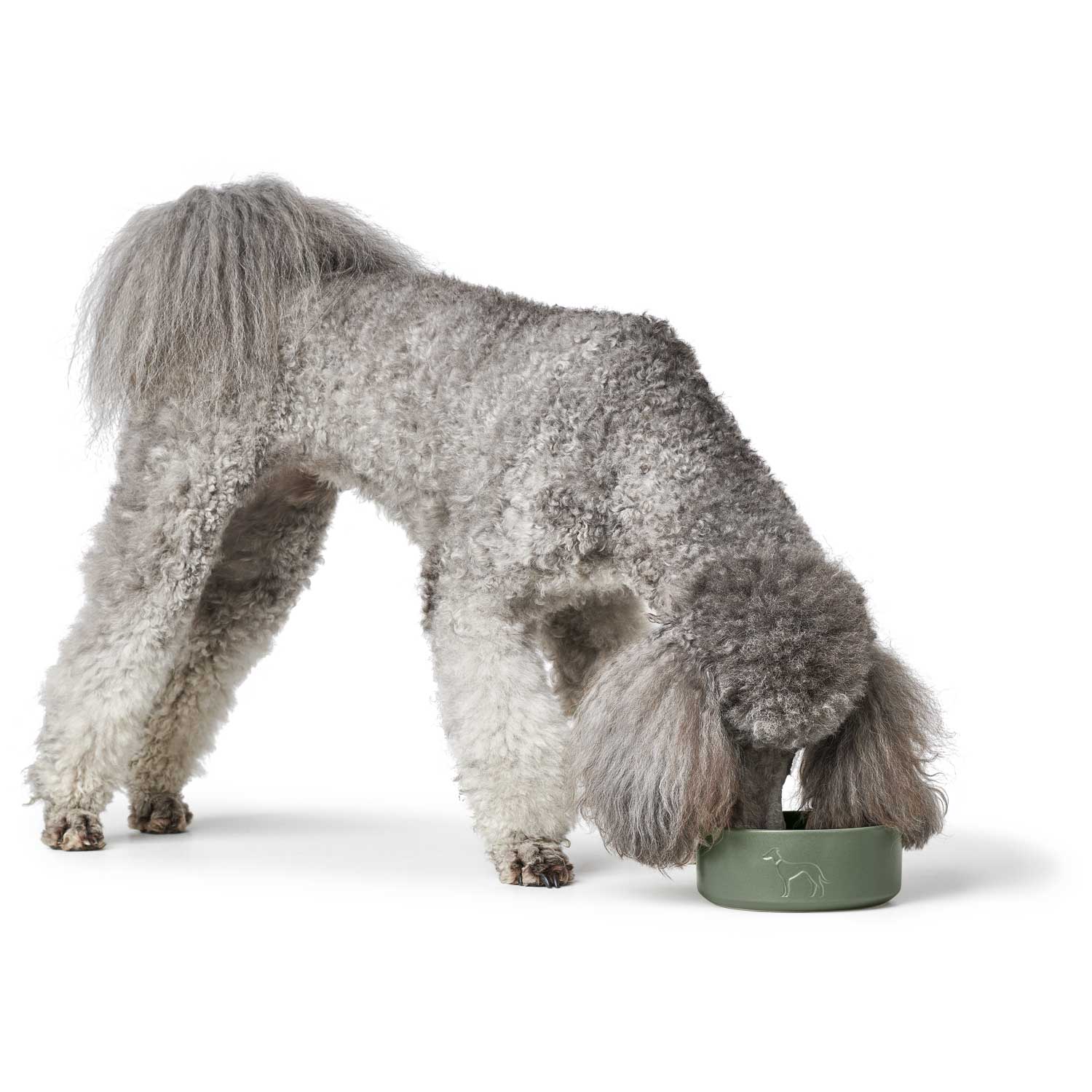 HUNTER - Food Bowl - Osby