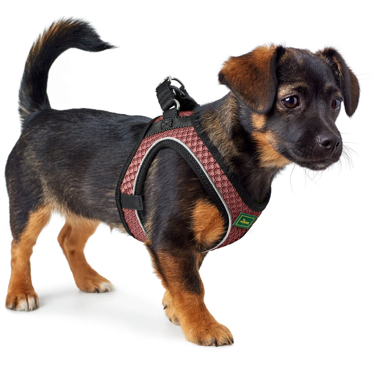 HUNTER - Hilo Comfort Harnas