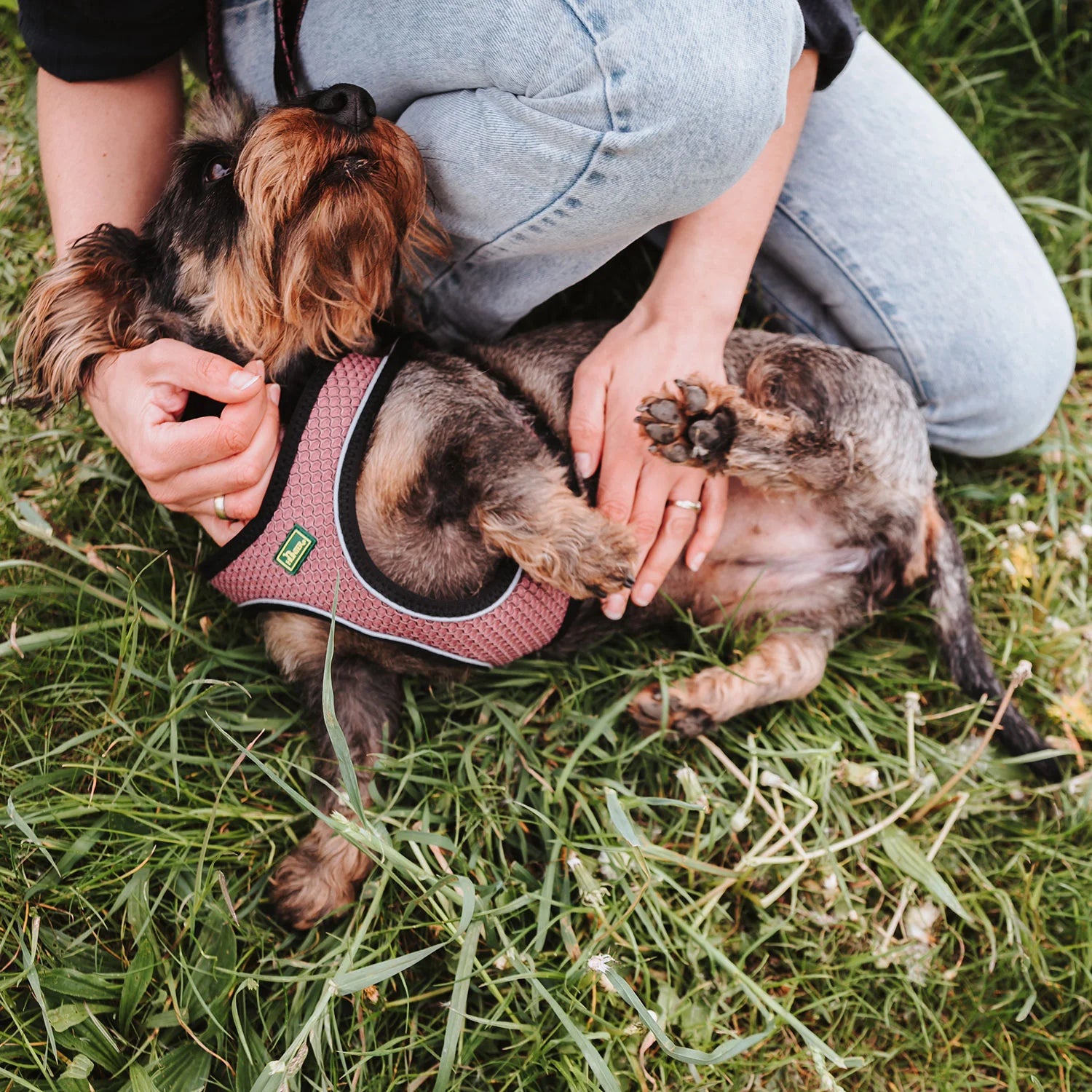 HUNTER - Hilo Comfort Harnas