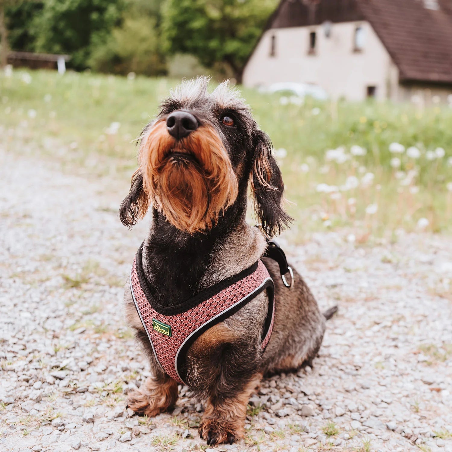 HUNTER - Hilo Comfort Harnas