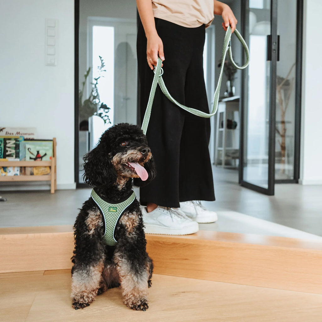 HUNTER - Hilo Comfort Harnas