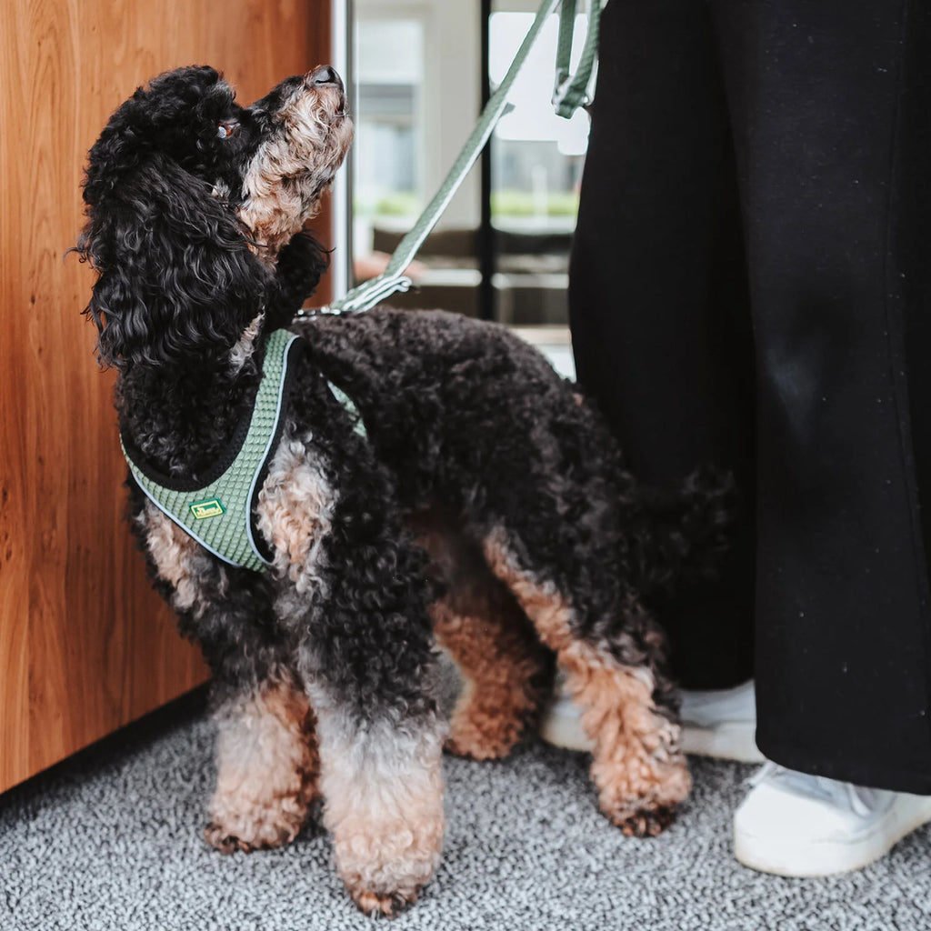 HUNTER - Hilo Comfort Harnas