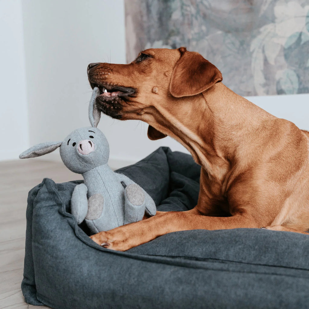 HUNTER - Hondenspeelgoed Marle
