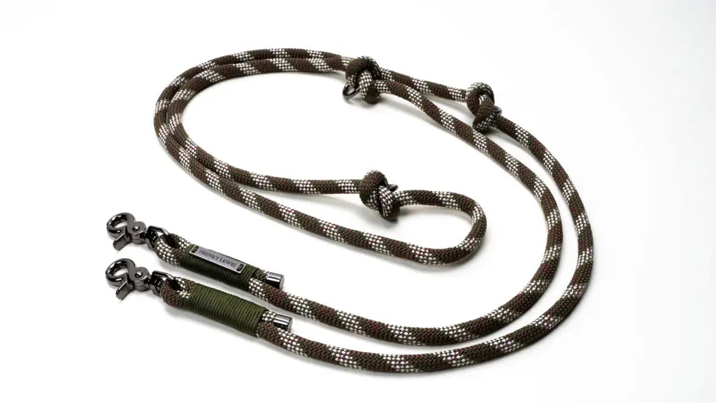 Frenky Lewis Hands Free Leash – 3 varianten – 2,5m