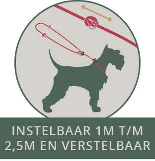 Frenky Lewis Hands Free Leash – 3 varianten – 2,5m