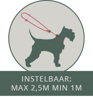 Frenky Lewis Hands Free Leash – 3 varianten – 2,5m