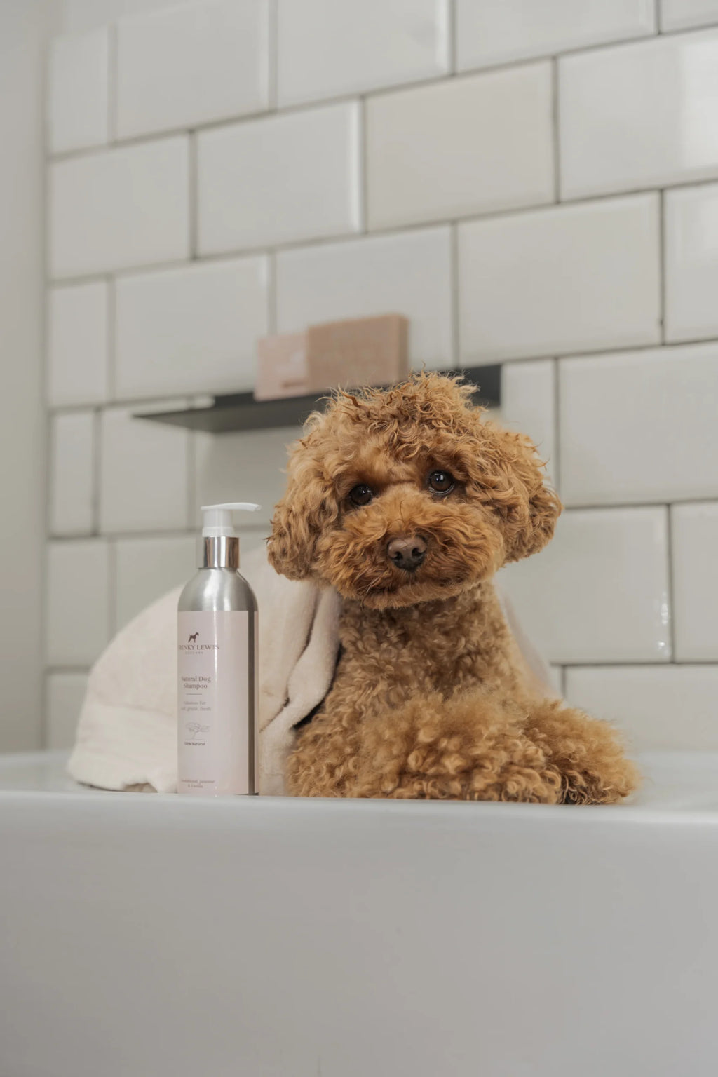 Frenky Lewis Dog Shampoo 200ml