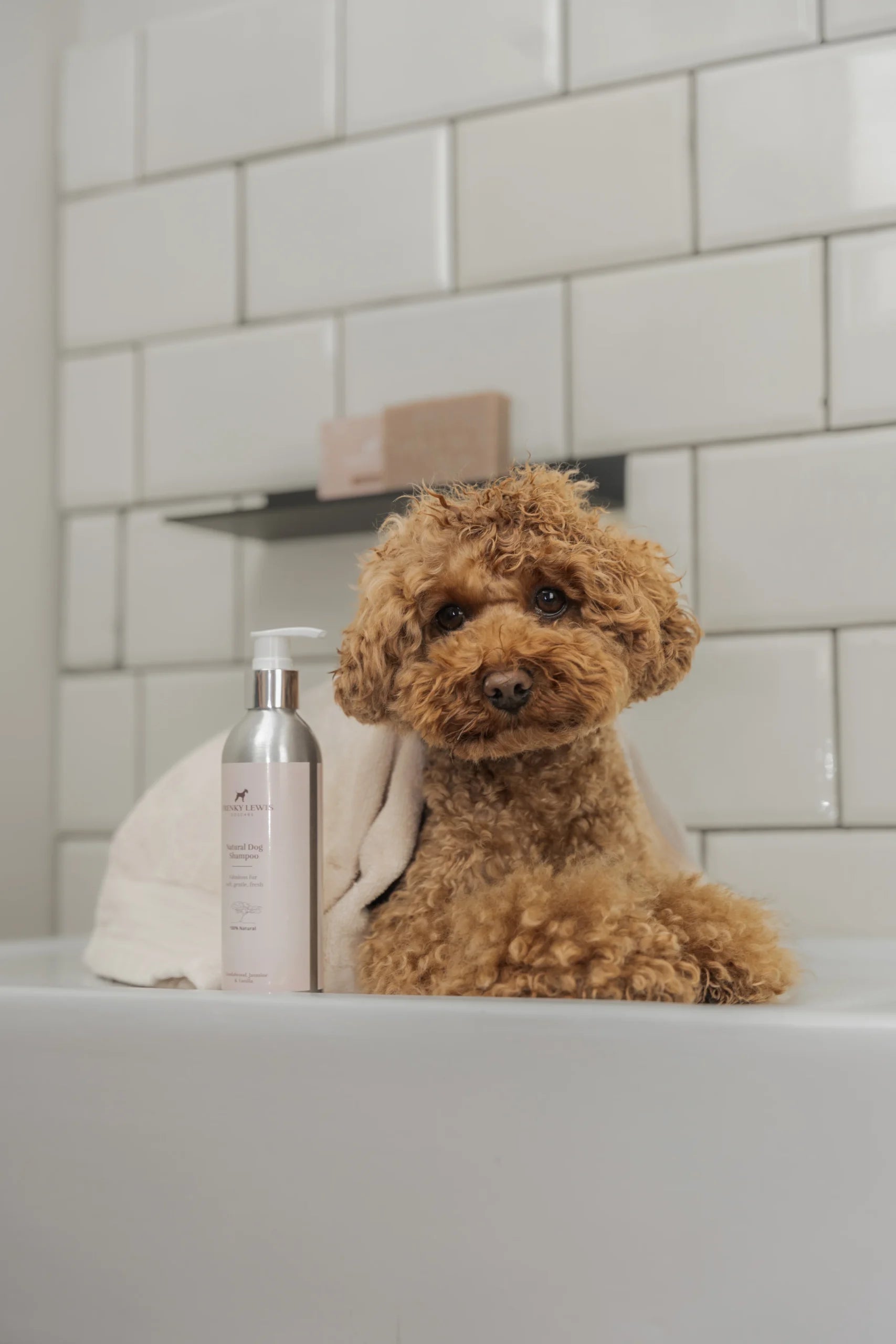 Frenky Lewis Dog Shampoo 200ml