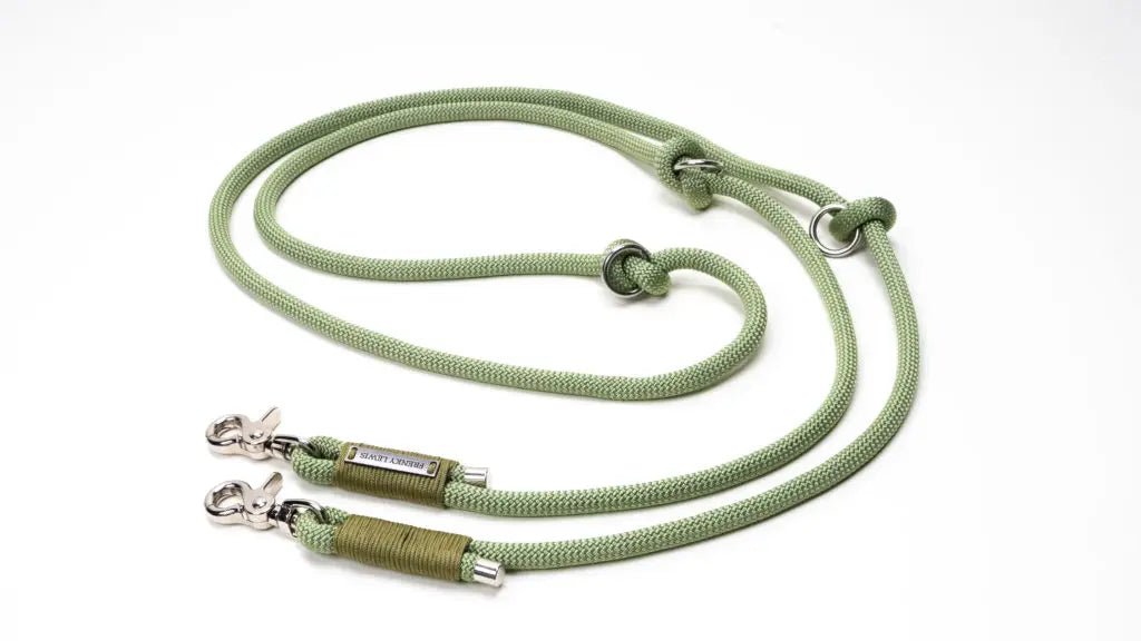 Frenky Lewis Hands Free Leash – 3 varianten – 2,5m