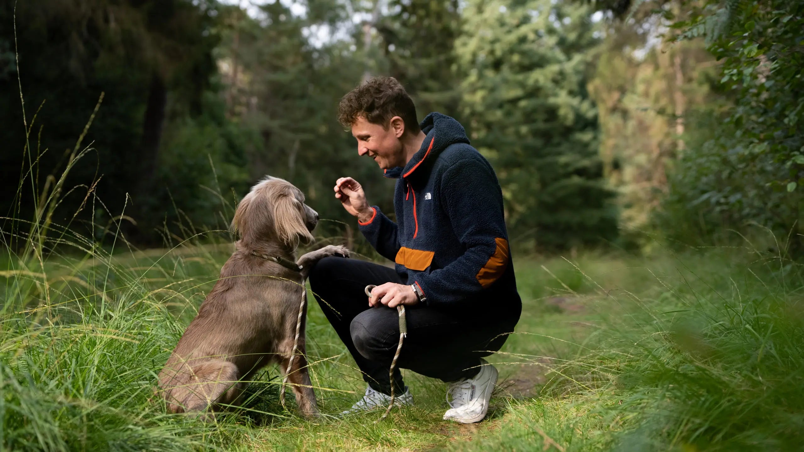 Frenky Lewis Hands Free Leash – 3 varianten – 2,5m