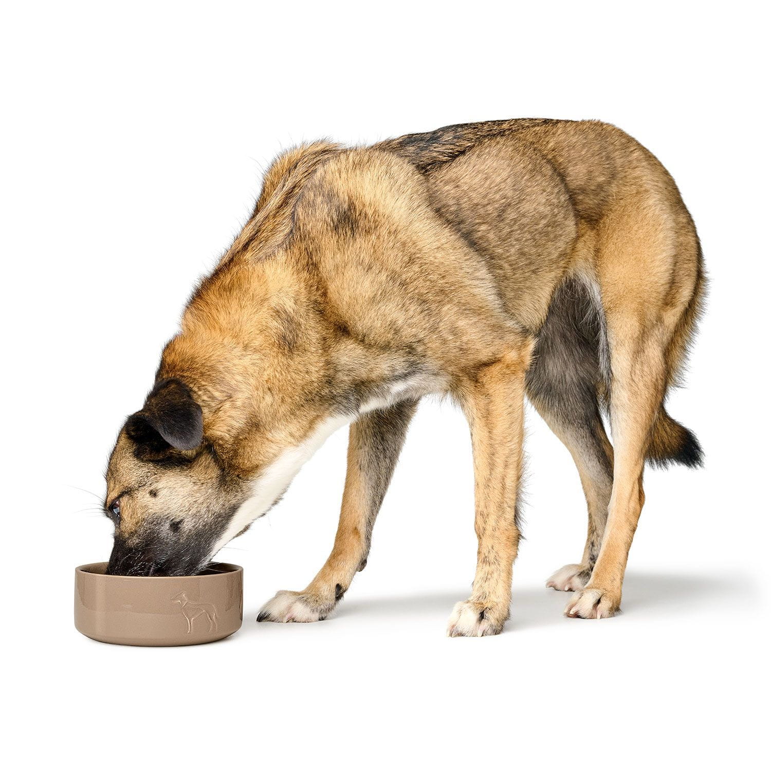 HUNTER - Food Bowl - Osby Glazed