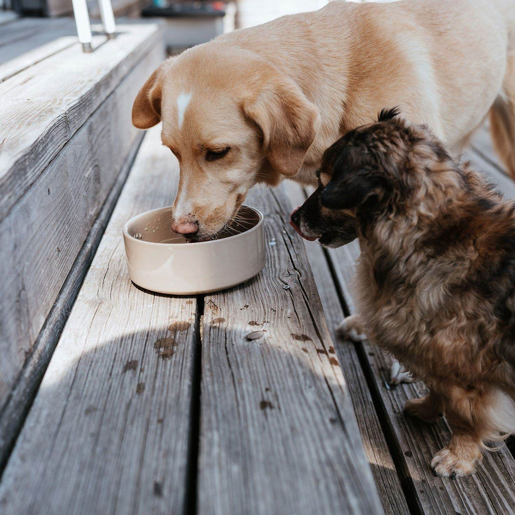 HUNTER - Food Bowl - Osby Glazed