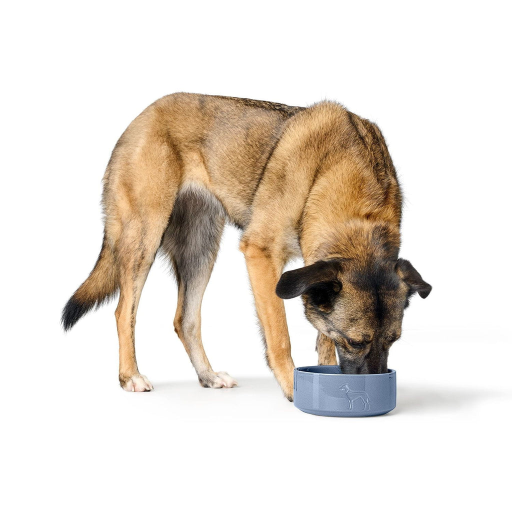 HUNTER - Food Bowl - Osby Glazed