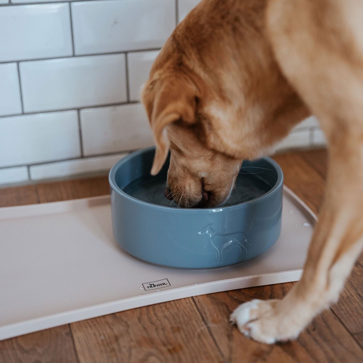 HUNTER - Food Bowl - Osby Glazed