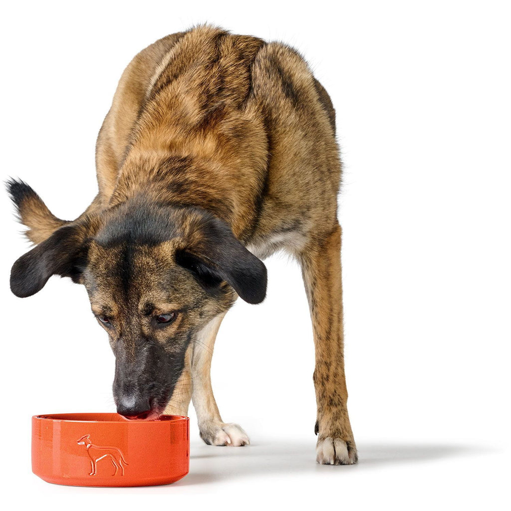 HUNTER - Food Bowl - Osby Glazed