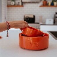 HUNTER - Food Bowl - Osby Glazed