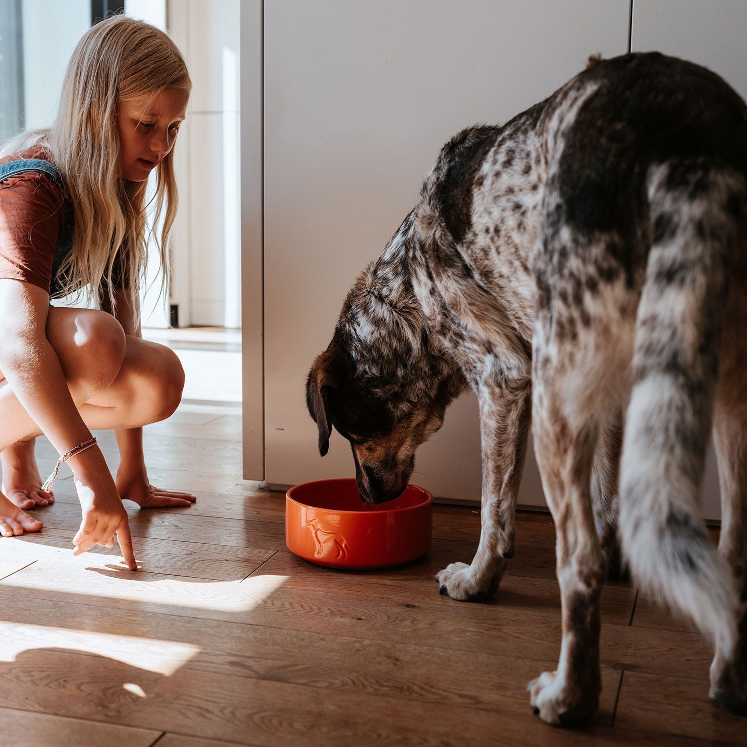 HUNTER - Food Bowl - Osby Glazed