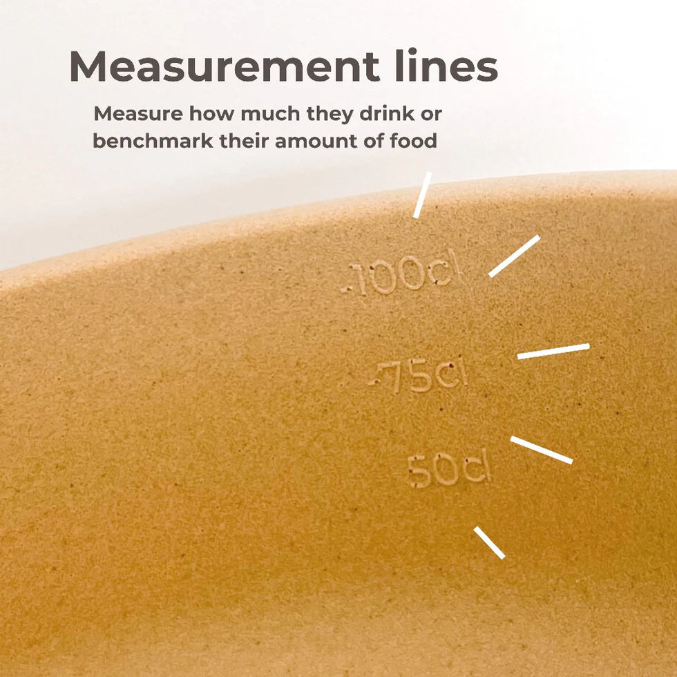 PINO - Classic Feeder Bowls