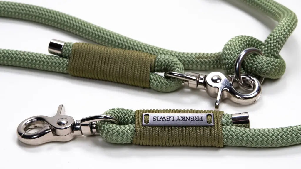 Frenky Lewis Hands Free Leash – 3 varianten – 2,5m